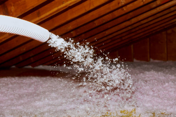 Best Spray Foam Insulation in Loyal, WI