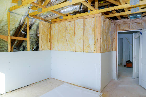 Best Specialized Insulation Services in Loyal, WI