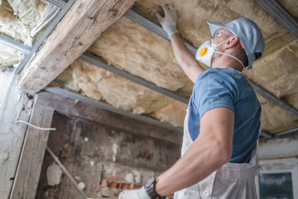 Best Energy Efficiency Insulation in Loyal, WI