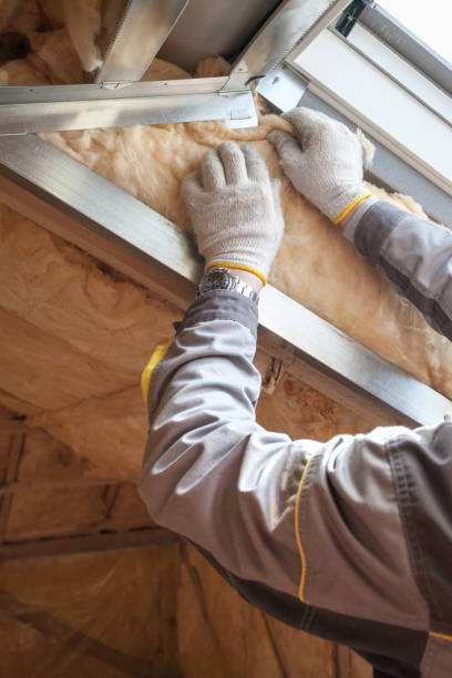 Types of Insulation We Offer in Loyal, WI