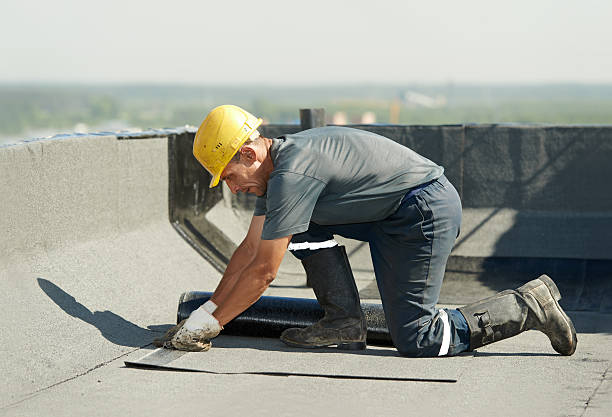 Best DIY Insulation Kits and Guidance in Loyal, WI